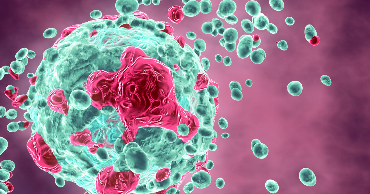 Illustration of cells