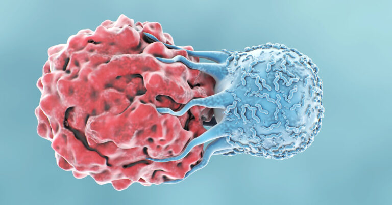 Image of a T-cell attacking a cancer cell