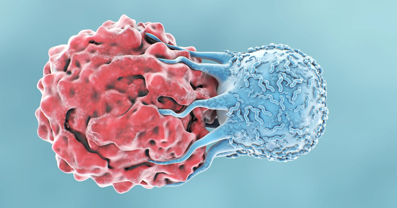 Image of a T-cell attacking a cancer cell